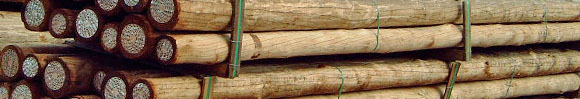 Cloeziana hout