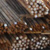 Hardhouten palen van cloeziana hout